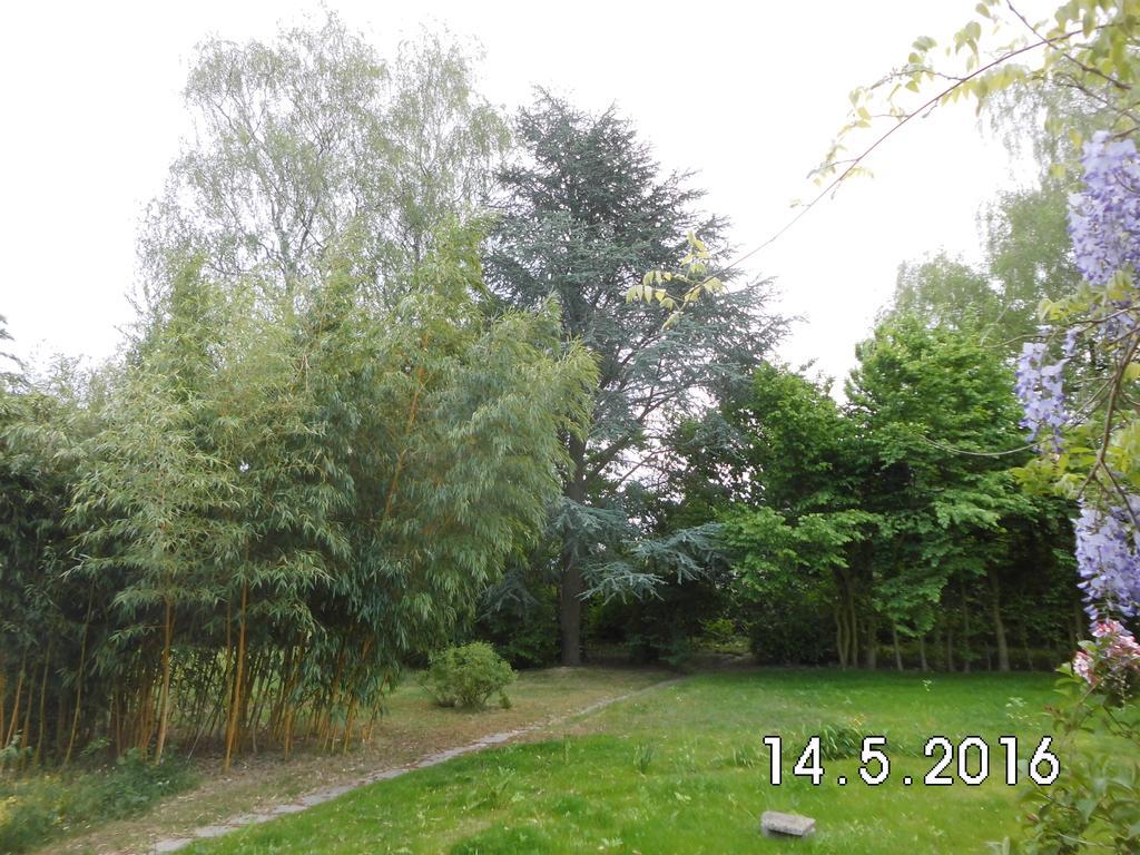 Linnemanns Gaestehaus Lippetal Luaran gambar